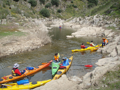 Braç del pantà