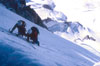 Aiguille du Chardonnet