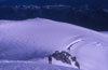 Montblanc - Refugi Vallot