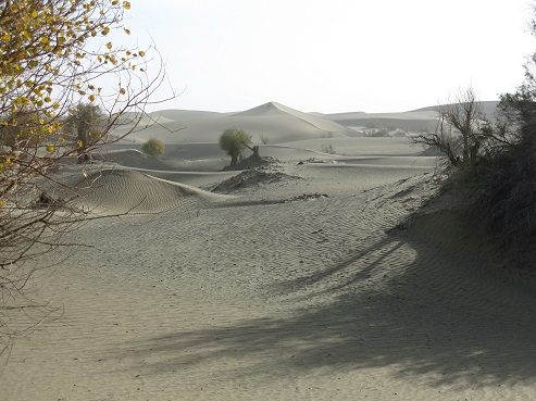 Desert de Taklamakan